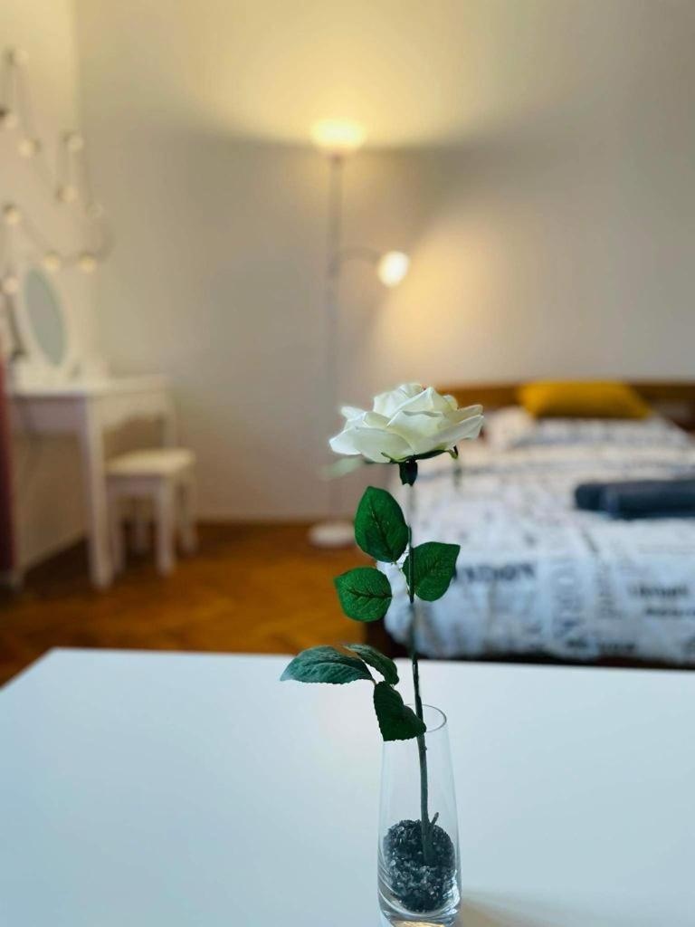 Lovely 2Bdr In Center, Wifi & Self-Check In Братислава Экстерьер фото